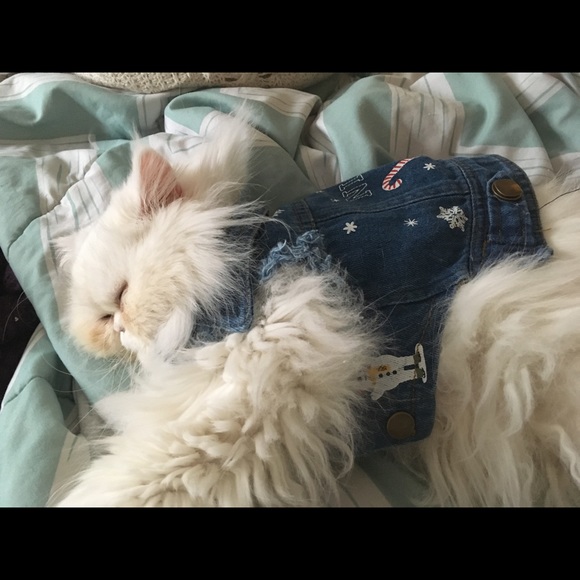 Meet your Posher, Megan - Picture 2 of 8